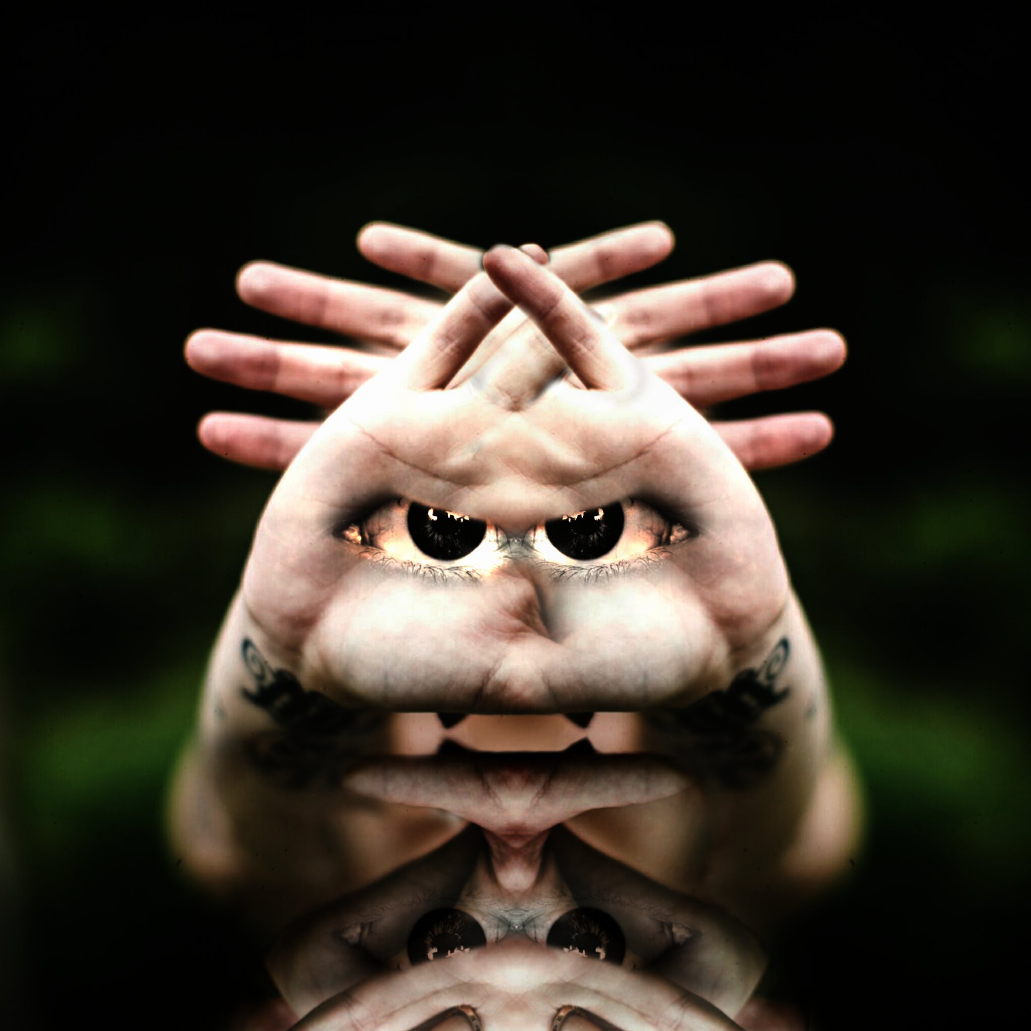 rotwurm — visual artwork